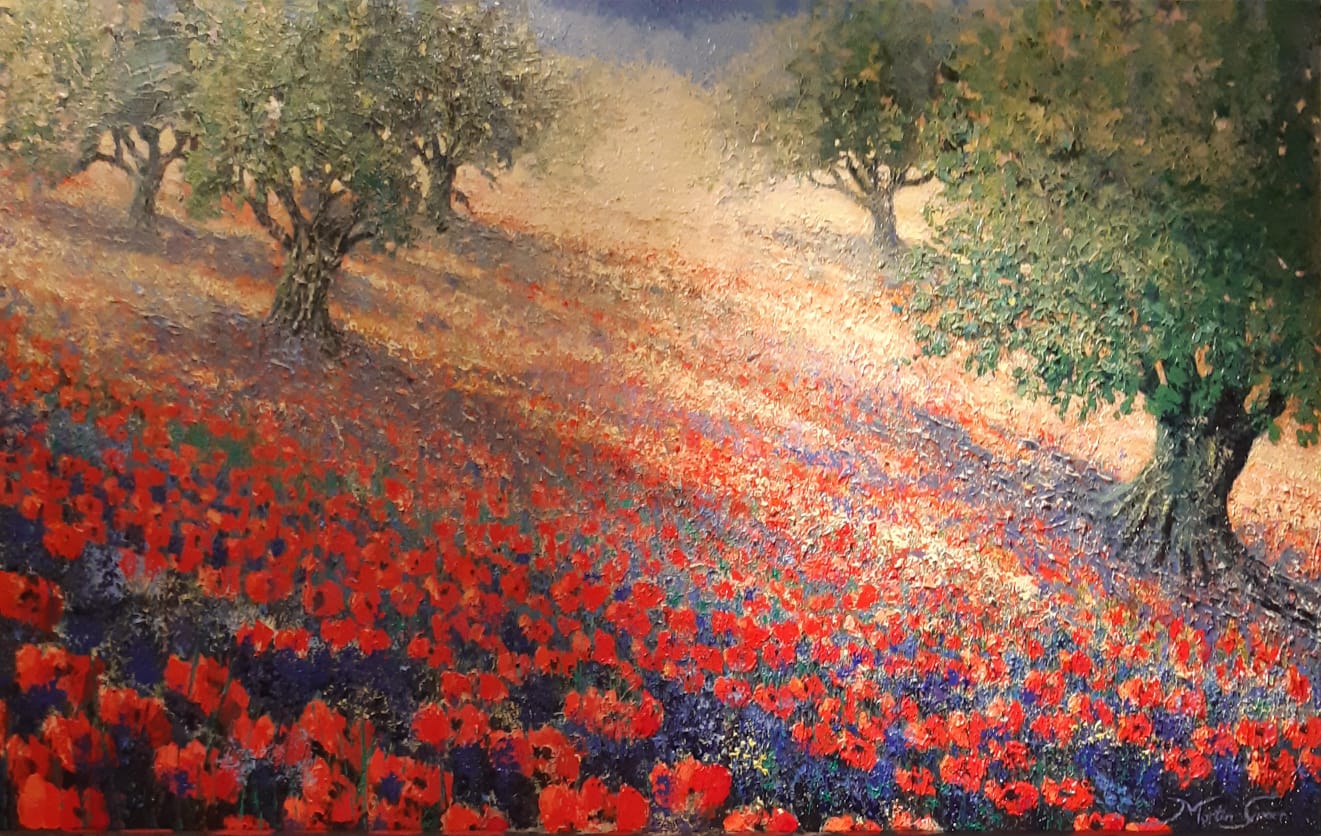 Martin Groen - Klaprozenveld in de Provence